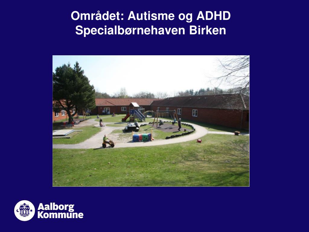 Oplæg ved specialbørnehaven Birken- om autisme og praktiske redskaber i dagligdagen